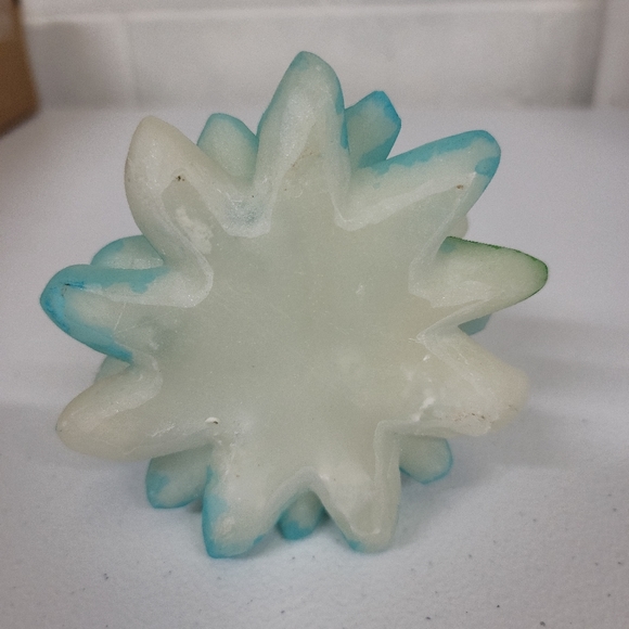 Fir Pine Resin Multi color Shell accent Tree - Picture 8 of 9